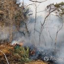 삼랑진초등학교 이미지