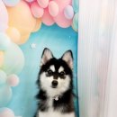 그루밍솔루션 일산중산점 이미지