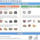 성심한의원 | [한림대학교성심병원 동탄] 3n년 살면서 처음 받아본 내시경 + 전날일상