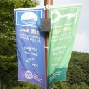 사하구 캐릭터 상징 이미지