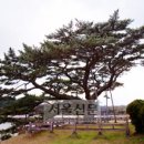 수산리-16 이미지