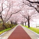 낙동강관리본부 맥도생태공원 2 이미지