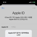 캠프다운 이미지