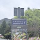 이마트24 단양늘푸른점 네이버블로그