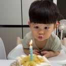 얌이크케이크 이미지
