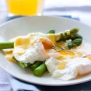 도그마미 이미지