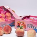 남산 마을회관 앞 이미지