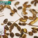 군산드림약국 이미지