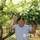 김재명농장 이미지