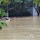 망미1-202 이미지