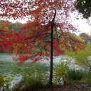 오크랜드 이미지