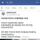 브라보 치킨 피자 이미지