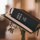 대로2-39 이미지