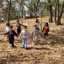 아이큰숲어린이집 이미지