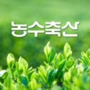 산정축산 이미지