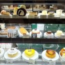(주)썬리취 - 용인시 처인구 | (주)썬리취
