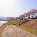 남천제방길 이미지