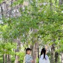 무양공원 놀이터(무양) 이미지