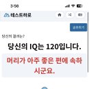 심심한 사람 아이큐 테스트 ㄱㄱ 천재 준바오 찾아요~ 이미지