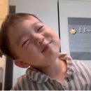 태하