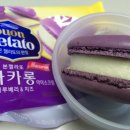 본젤라또 이미지