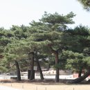 H9121 이미지