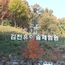 김천 유아숲체험원 이미지