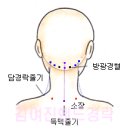 핸드경락 마사지 이미지