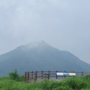 숲 안으로 : 한남정맥 3구간 학고개(용인대)~삼막골삼거리(24.1km, 7시간대) 이미지