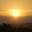 숲속노을로(1) 이미지