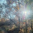 호령마을회관 이미지