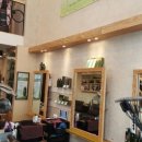 앙포레모리노 이미지