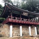 동굴나라편의점