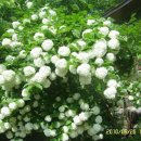 방장산민박 이미지