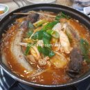 박지연명품생태 이미지