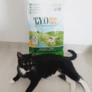 고양이사료 티오 그레인<b>프리</b> 마더앤<b>베이비</b> 급여 후기 기호성
