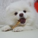 맘마드멍 이미지