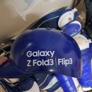 삼성 선수지급 하닥장비로(롯데 교환해봅니다) 이미지