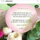 조이클린 이미지
