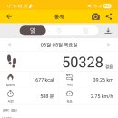모텔마릴린 이미지