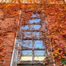 벌교금융조합 이미지