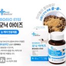 모닉 이미지