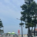 CU 동해망상점 | [강원/동해] 여름 물놀이하며 조개잡기 좋은 망상해수욕장(비단조개, 태닝, 사설 샤워장 이용)