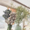 춘봉농장 이미지