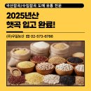 양곡도매시장 | 2025년 햇곡 전체 입고 완료! 양곡 잡곡 도매 시세 상담은 우일농산으로!