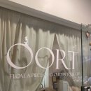 오르트(OORT)