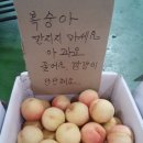 태경농장 네이버블로그
