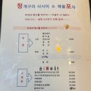 청개구리해물포차