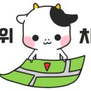 빈랑예찬 이미지