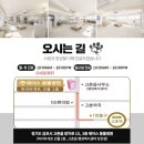 제이스동물병원 이미지